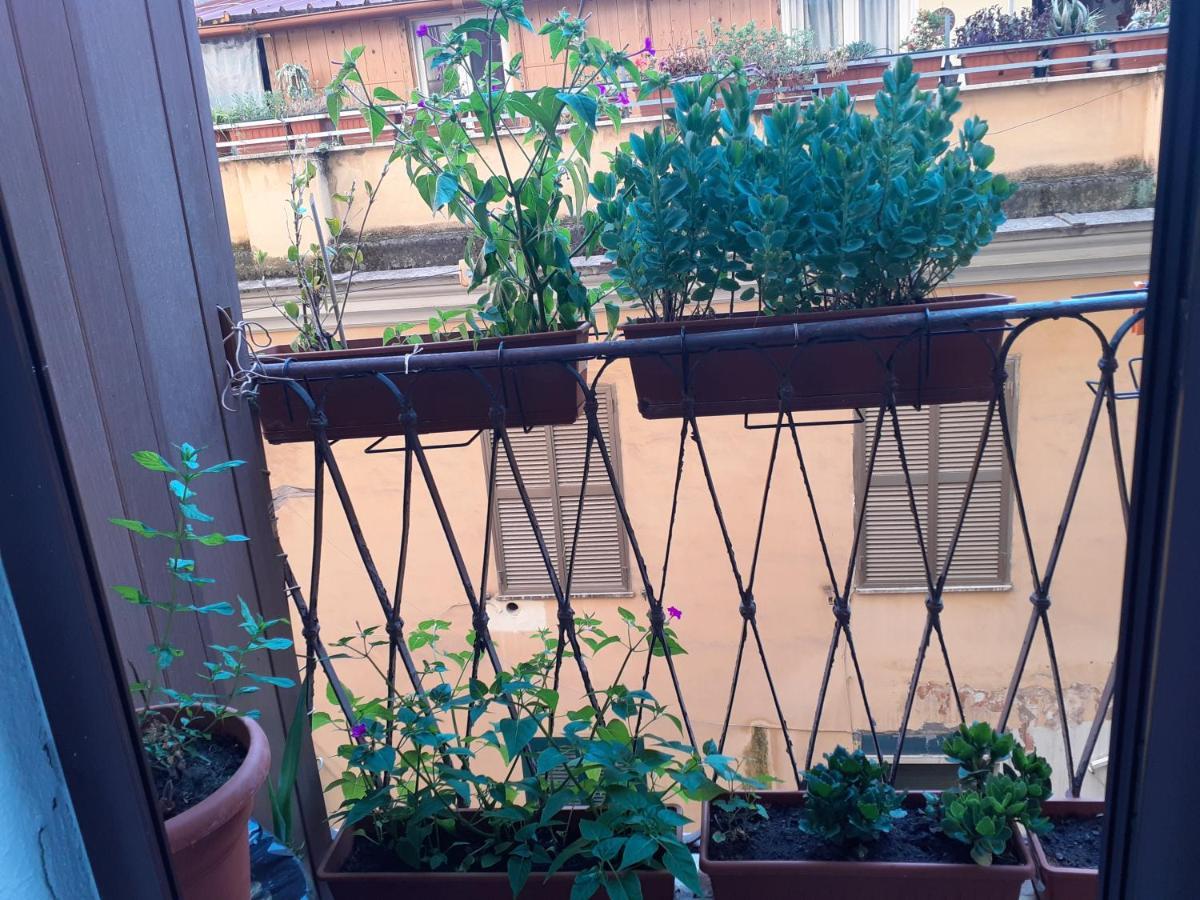Napoleone Luxury Home Roma المظهر الخارجي الصورة